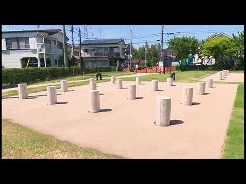 橘樹 象徵